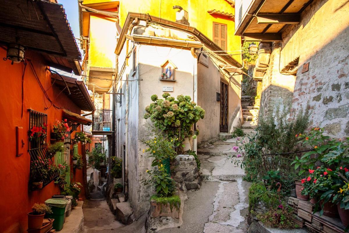 Casa Lella Lägenhet Rocca Di Papa Exteriör bild